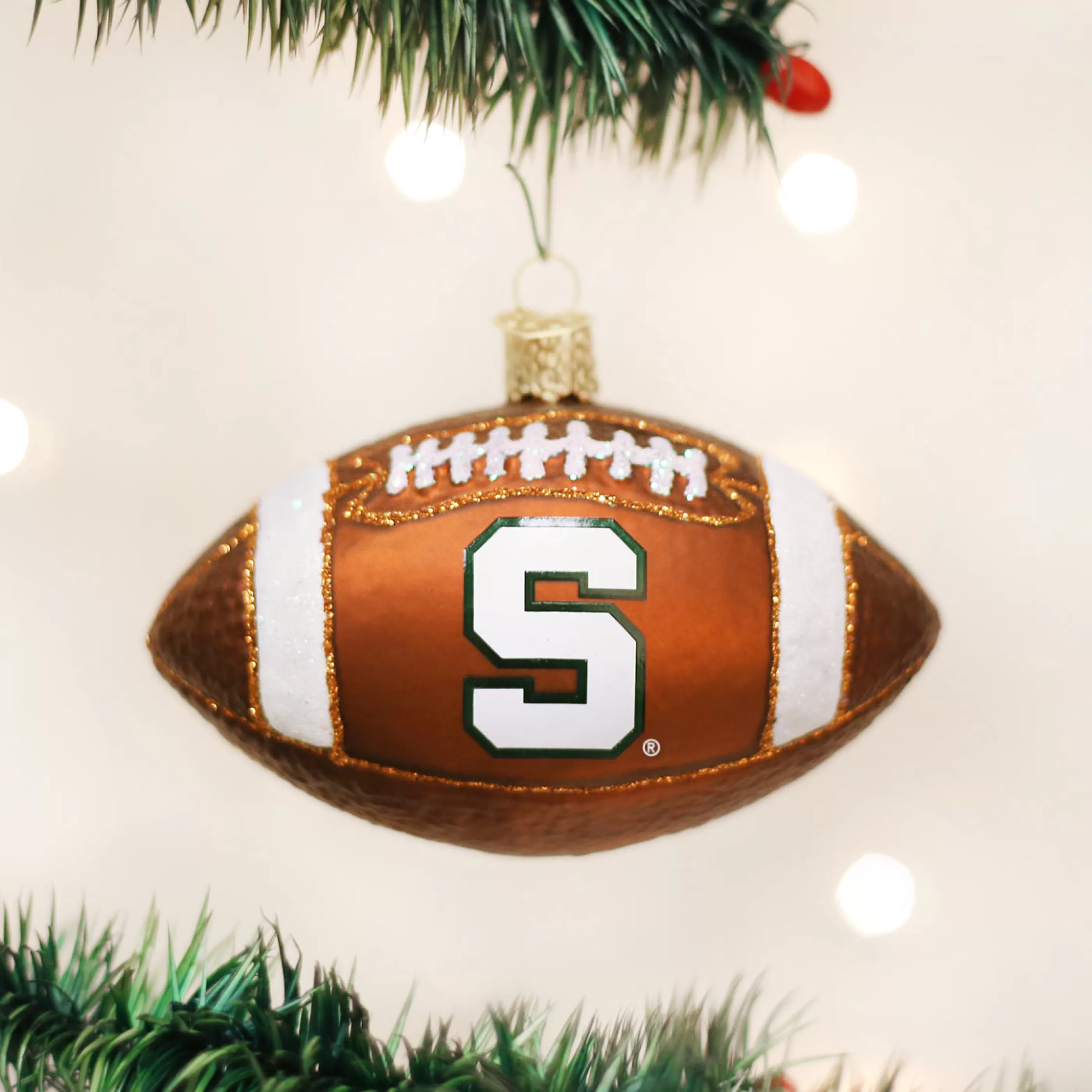 Guining Michigan State Football